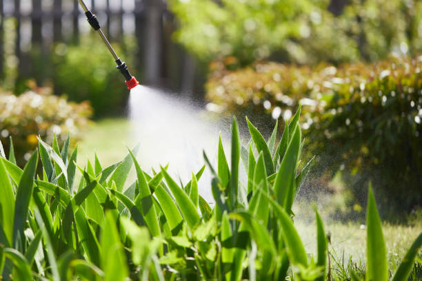 24/7 Emergency Wasp Removal experts in Crescent City, FL