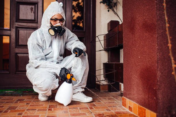 Reliable Wasp Removal contractor in Crescent City, FL by Show Me Pest Control