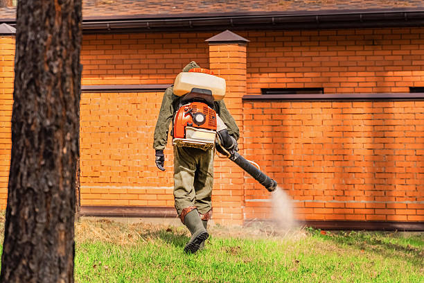 Top rated local Wasp Removal specialists in Crescent City, FL